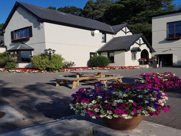 Aherlow House Hotel & Lodges Extérieur photo