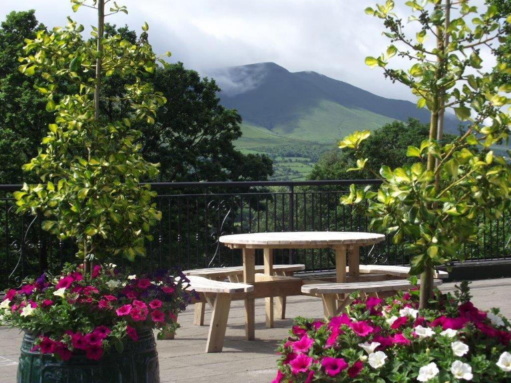 Aherlow House Hotel & Lodges Extérieur photo
