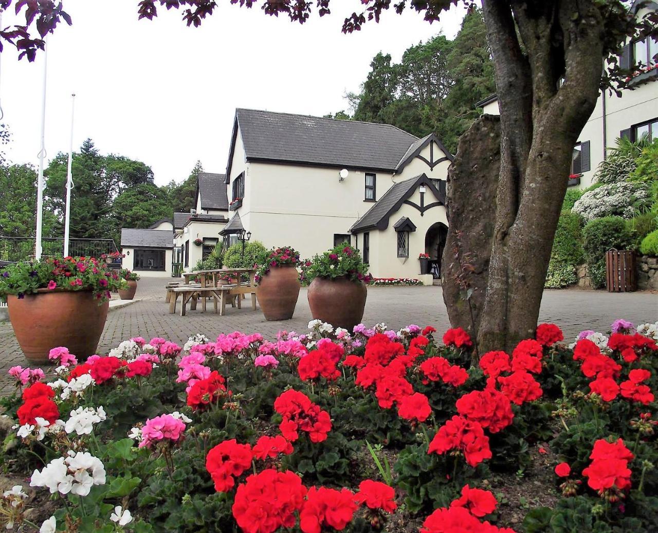 Aherlow House Hotel & Lodges Extérieur photo